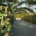 בית חווה Tenuta La Meirana