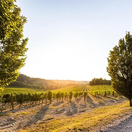 Tenuta La Meirana *