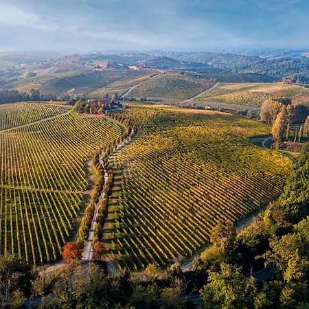 Tenuta La Meirana * Gavi