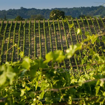 Bauernhof Tenuta La Meirana