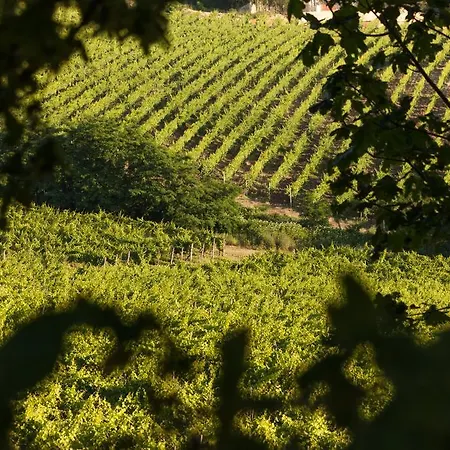 Farm stay Tenuta La Meirana