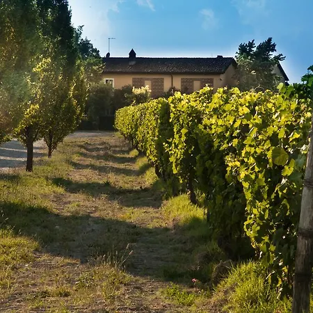 Tenuta La Meirana Gavi