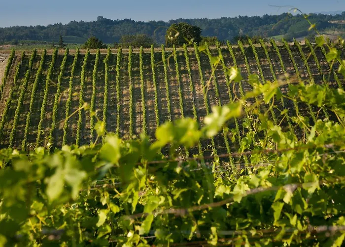 Bauernhof Tenuta La Meirana