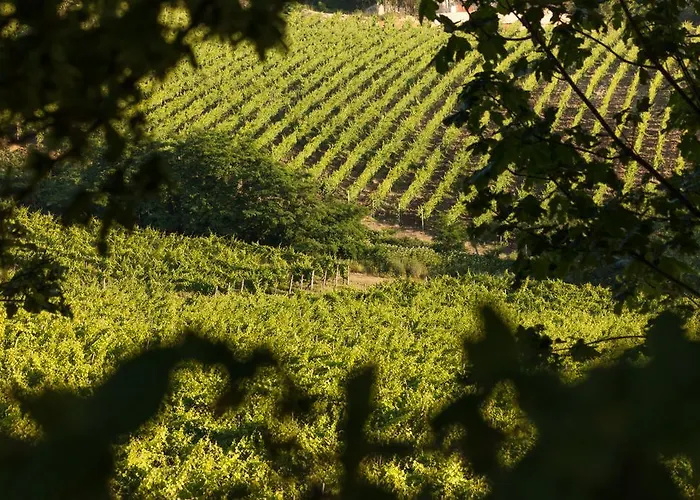 Bauernhof Tenuta La Meirana